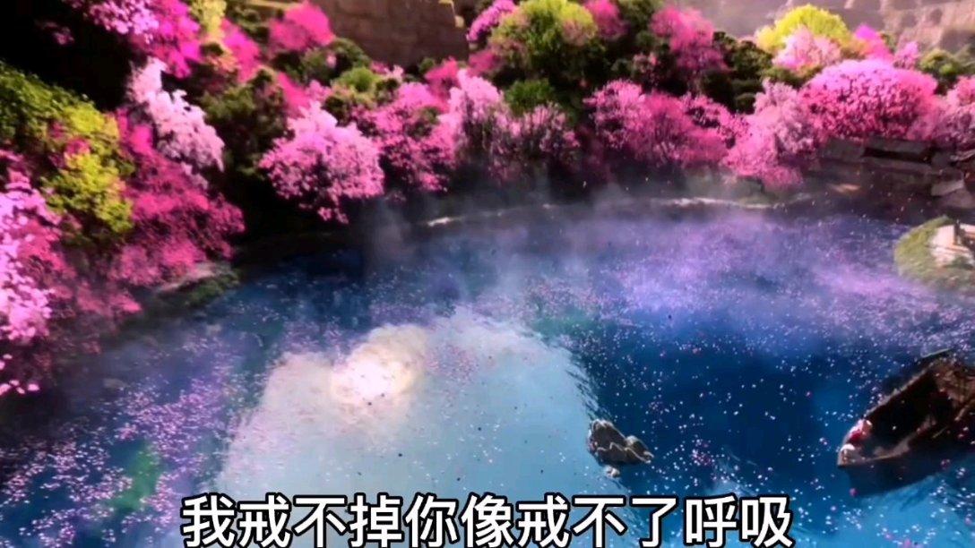 植物大战僵尸20
