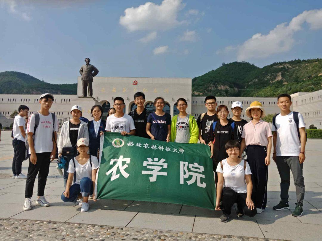 神秘侦探